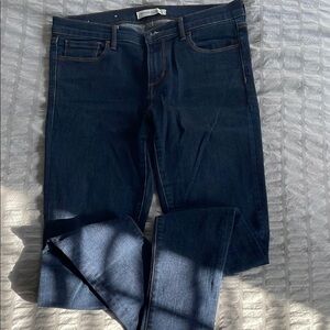 Banana Republic Dark Blue Denim Jeans